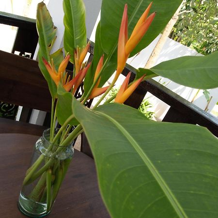 Chalisa Villas Ko Tao Ngoại thất bức ảnh
